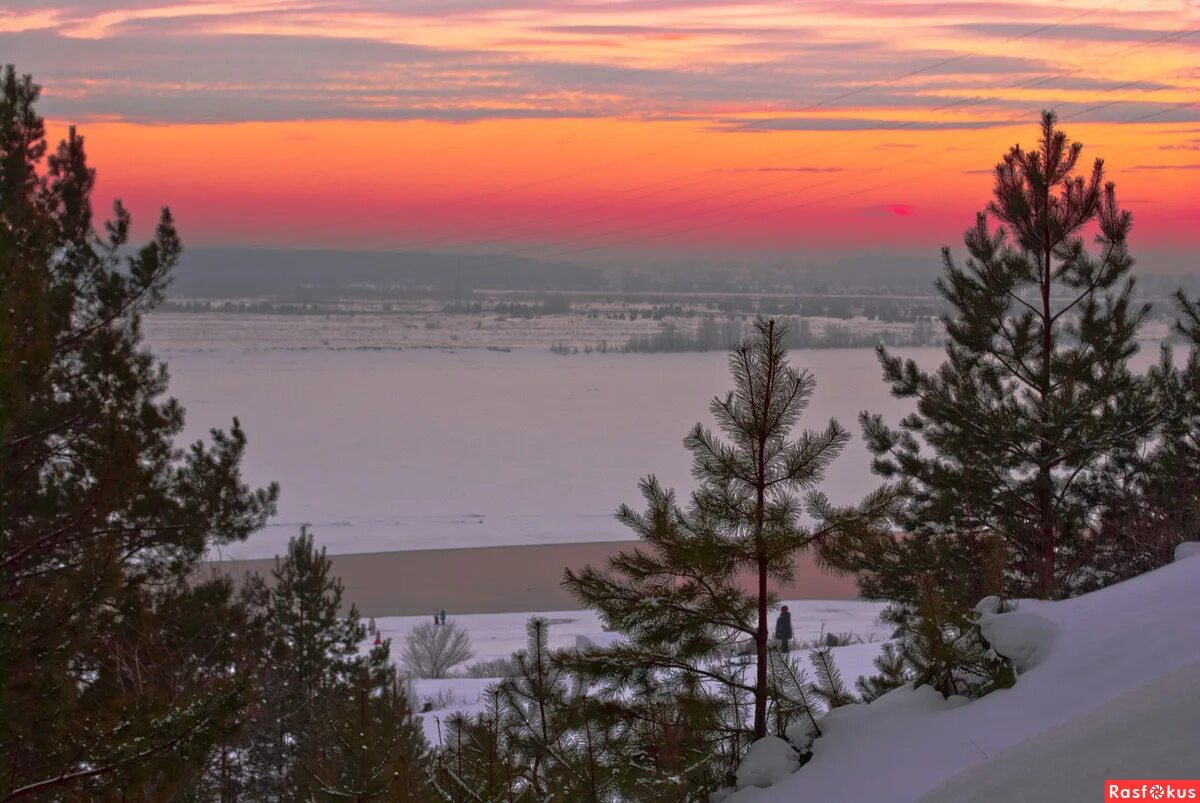 Осенние березы на закате. Диктант вечерняя заря. Догорала румяная заря. Догорала румяная заря. Вечерняя заря догорала.