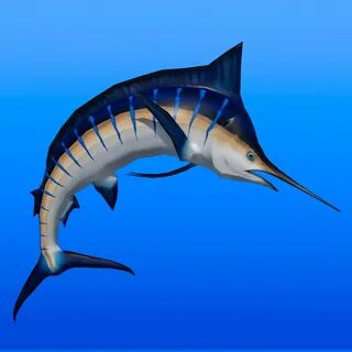 Marlin 3d