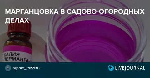 Пролив земли марганцовкой осенью