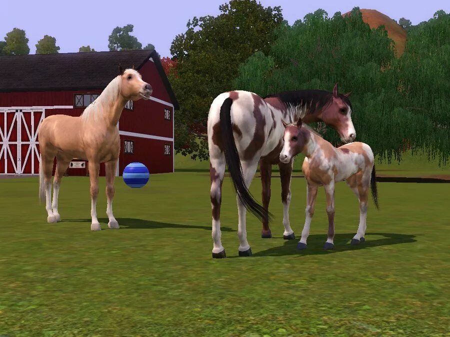 Horse sim. Симс 3 питомцы лошади. SIMS 3 лошади. SIMS 4 лошади. Симс 3 жеребята.