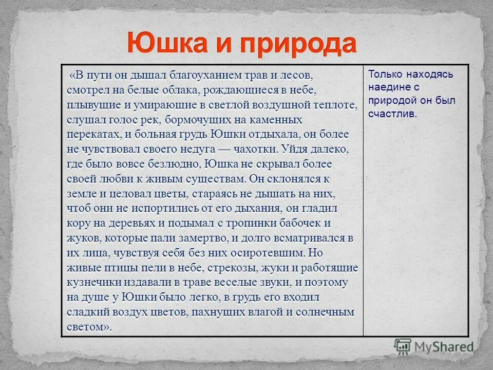 Рассказ юшка. Иллюстрации к рассказу юшка платонова. Отчество юшки. Значение имени юшка. Рассказ юшка.