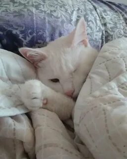 Пришла утром 18