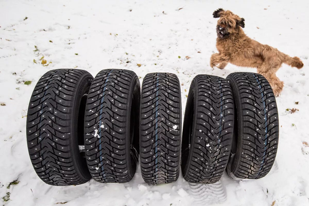 Шины nokian hakkapeliitta lt2. Шины nokian hakkapeliitta lt2