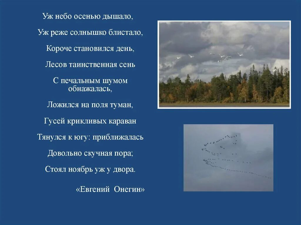 Небо осенью дышало. Стихотворение уж небо осенью дышало. Уж небо осенью. Уж небо осенью дышало уж реже солнышко блистало. Караван тянулся