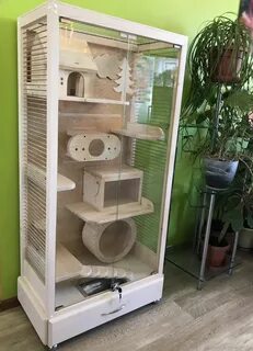 Витрина для шиншилл