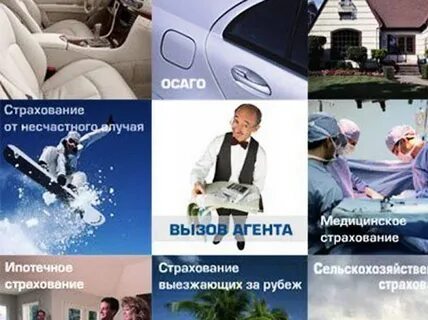 Страховая друг