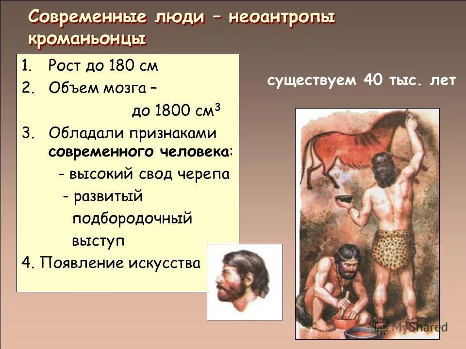 Люди современного типа неоантропы. Денисовец древний человек. Современные люди неоантропы. Люди современного типа неоантропы. Люди современного типа неоантропы.