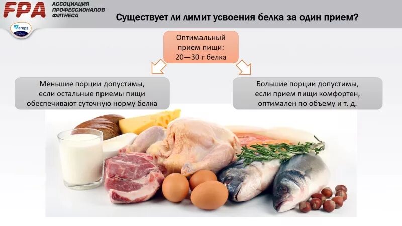 Сколько белка беременным. Белок усваивается. Сколько белка усваивается. Сколько белка усваивается за один раз. Усвоение белка организмом.