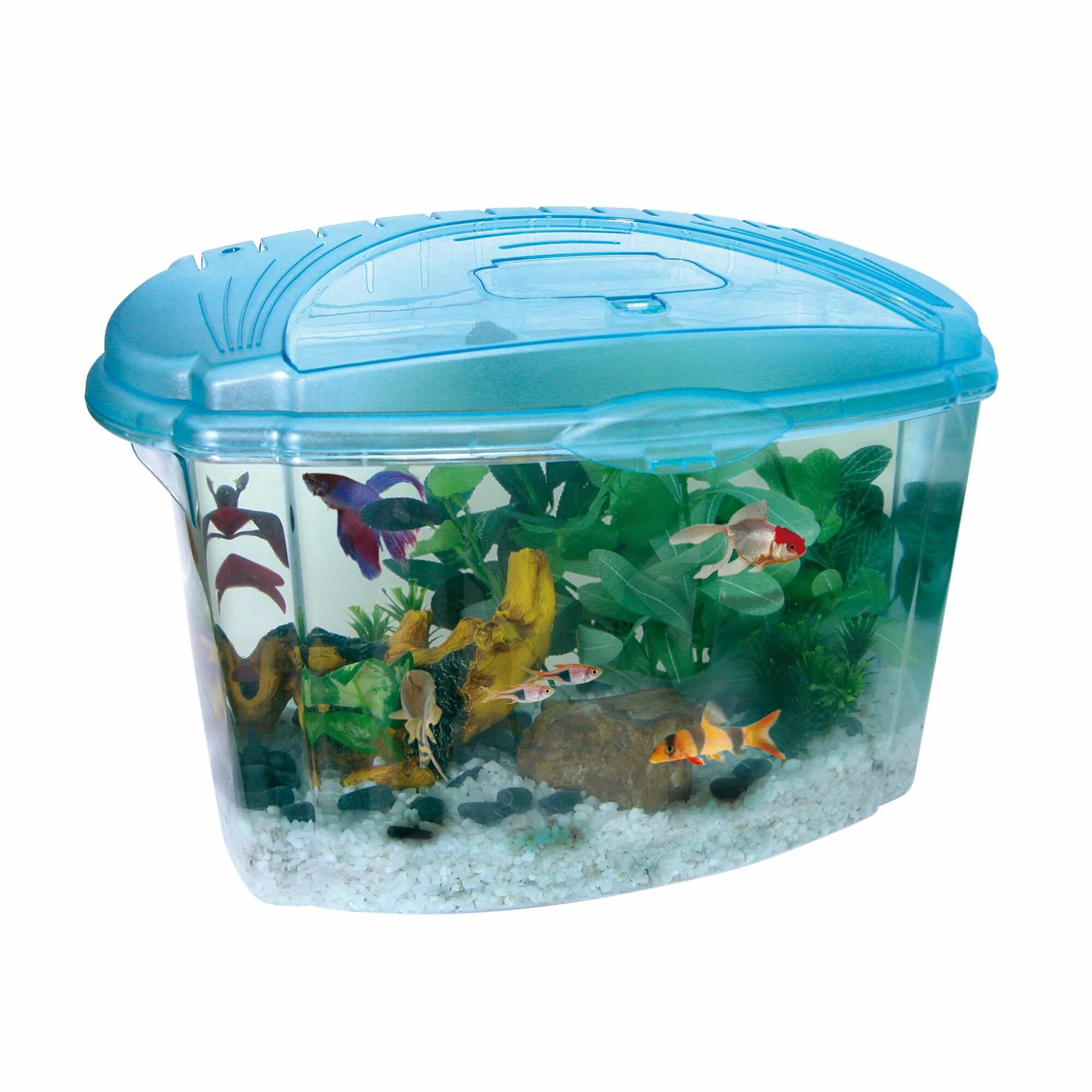 Купить рыбок в новосибирске. Daquarium 5л (17x17x17). Пластмассовый аквариум. Рыбки для аквариума. Пластиковые аквариумы для рыб.