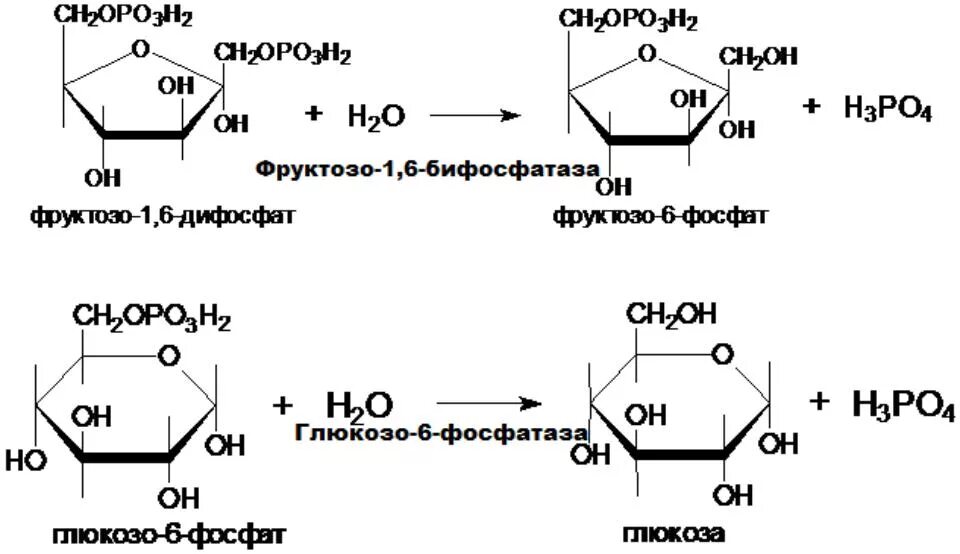Образование h2 h2 1 h2