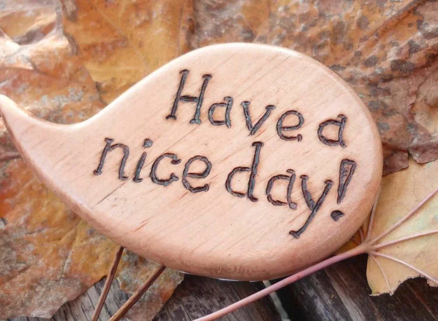 Have a nice Day. Have a nice Day игра. Have a nice Day картинки красивые стильные. Have a nice Day Forest.