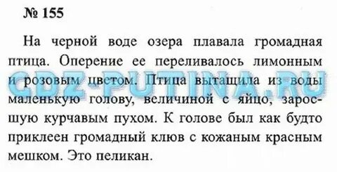 На черном озере плавала громадная птица