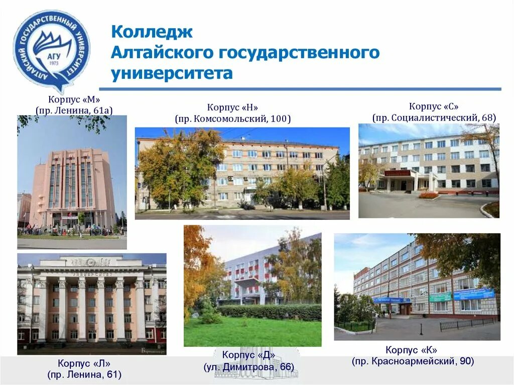 Все колледжи барнаула