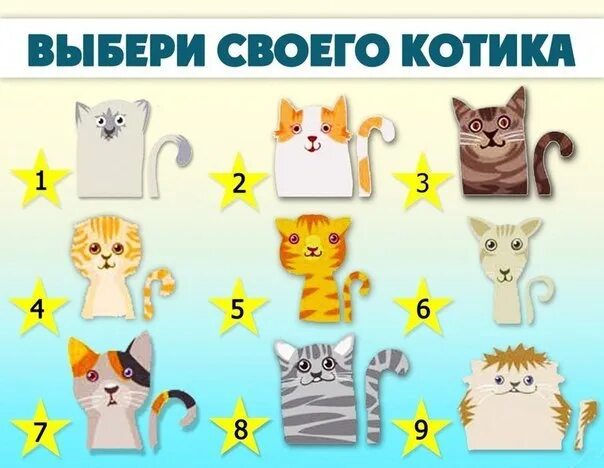Подбери кота. Выбери котика. тест с котиками. выбери своего кота. тест выбрать котика.