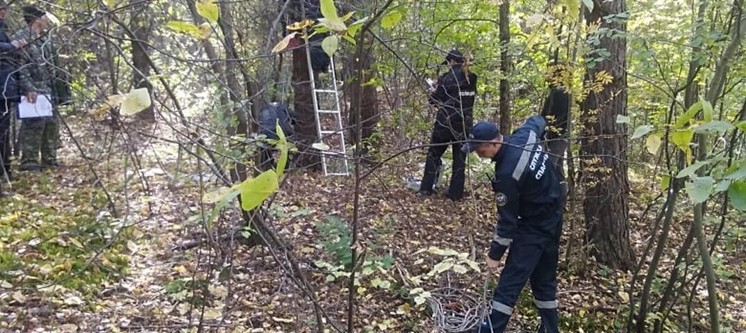 Нашли повешенным в лесу.