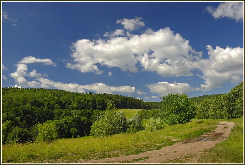 облака. лошадь взгляд из под гривы. летнее небо с облаками. взгляд лошади. мордовская республика природа.
