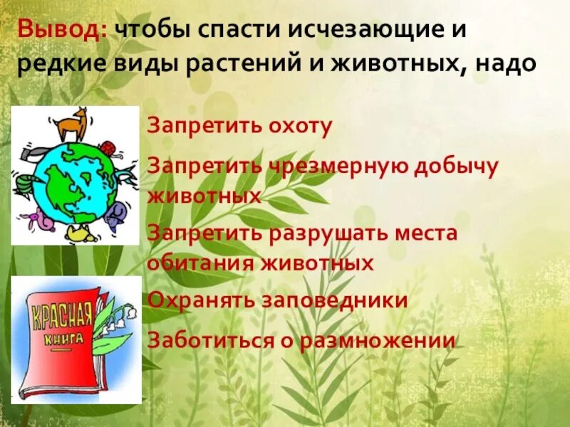 Охрана природы красная книга. Охрана редких растений и животных. Охрана животных и растений из красной книги. Редкие виды животных и растений. Как можно сохранить растения