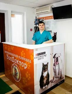 Зоодоктор екатеринбург