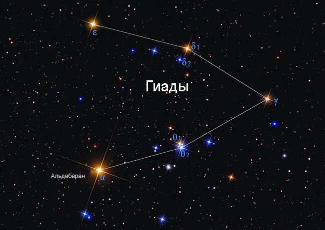 Созвездие альдебаран находится в созвездии. Гиады в созвездии тельца. Созвездие Телец Гиады. Скопление Гиады в созвездии тельца. Созвездие Телец Гиады Плеяды Альдебаран.