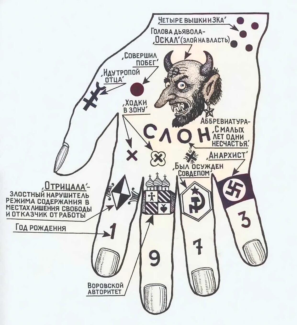 Зонах меток. Татуировки зоновские понятия. Обозначение воровских татуировок.