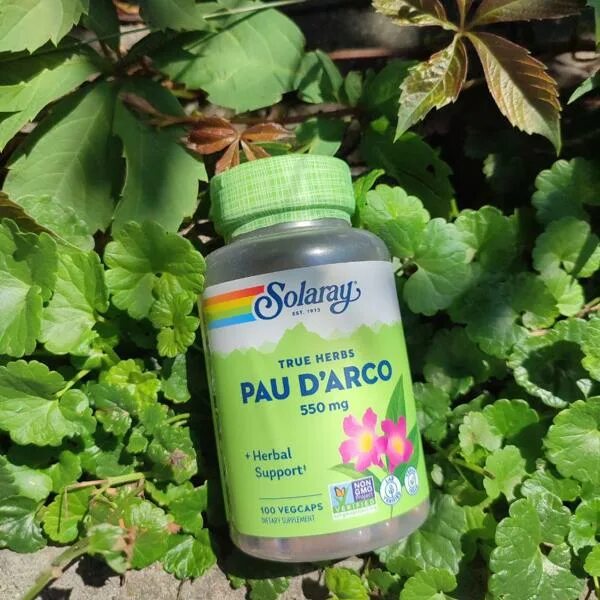 Пау дарко. Solaray кора муравьиного дерева. Pau d'Arco капсулы. Кора муравьиного дерева для детей жидкий. Pau d'Arco состав.