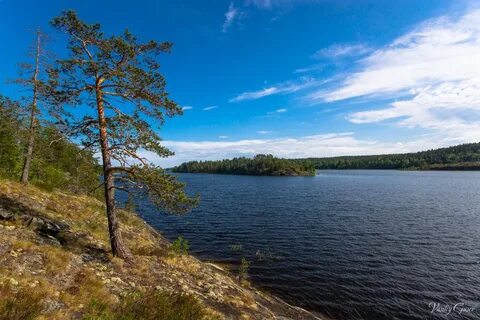 Законы карелии