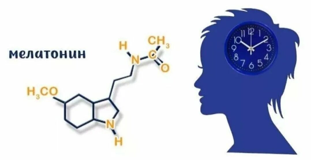 Мелатонин гормон сна. Серотонин и мелатонин гормоны. Мелатонин картинки. Гормон мелатонин картинка. Гипофункция мелатонина гормона