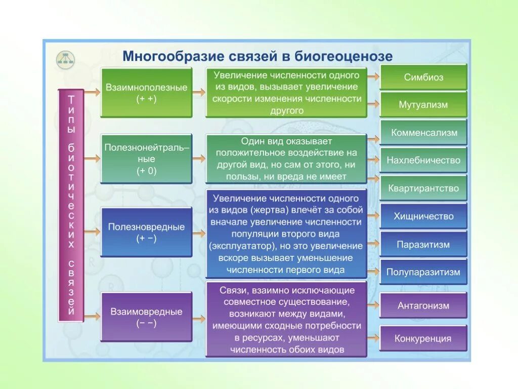 Типы связей в биогеоценозе. Типы взаимоотношений в биогеоценозе. Типы связей в биогеоценозе таблица. Многообразие связей в биогеоценозе.
