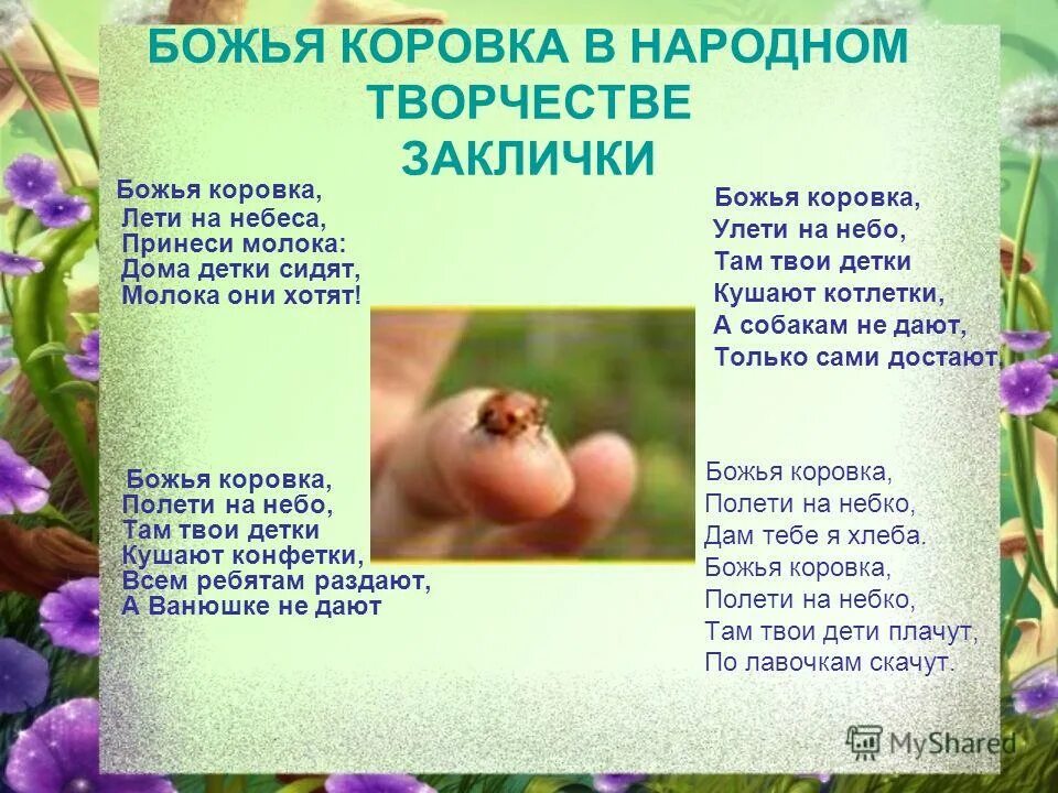 Божья коровка дети на неба принеси нам хлеба. Божья коровка улети на небо принеси нам хлеба. Стих про божью коровку для детей. Божья коровка полети на небко. Божья коровка улети на небо.