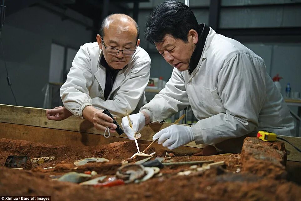 Scientist in china have discovered an unusual