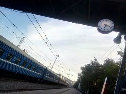 Мурманск ростов на дону