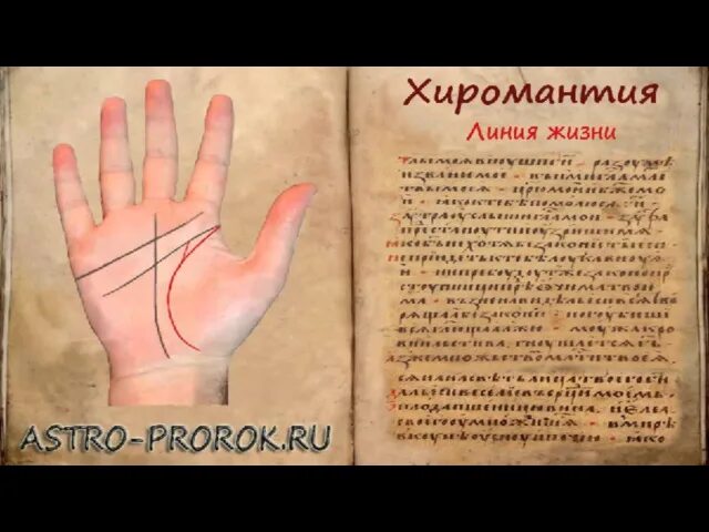 Браслеты по руке хиромантия. Что значат браслеты на запястье. Браслеты хиромантия значение. Первый браслет на запястье хиромантия. Хиромантия значение браслетов