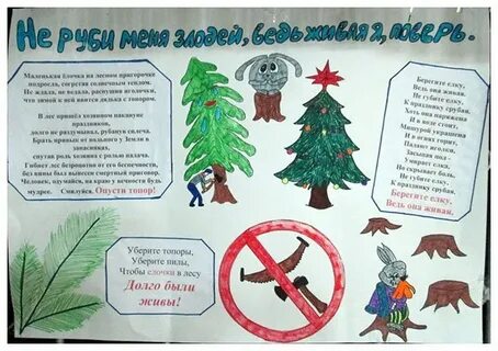 Листовка не руби елки