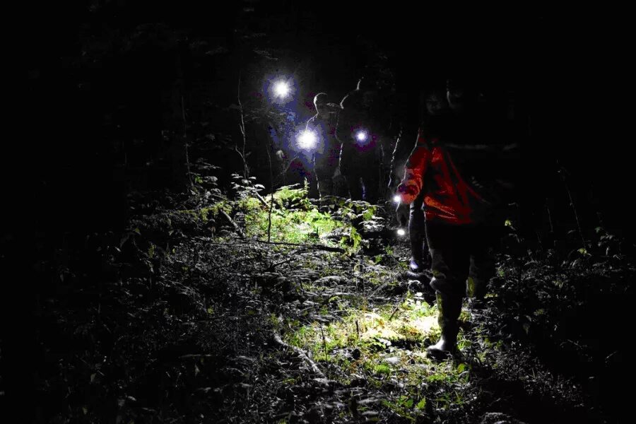 В темноте в отсутствии. Человек в лесу ночью. Человек в ночном лесу. Человек с фонариком в лесу. Человек с фонарем в лесу.