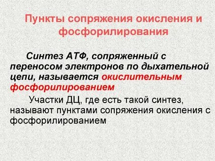 Биологическое окисление и окислительное фосфорилирование