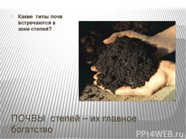 Дерново-подзолистые почвы зоны россии. Основные типы почв черноземы краткое. Черноземные почвы формируются. Типы почв на территории россии. Типы плодородности почв.