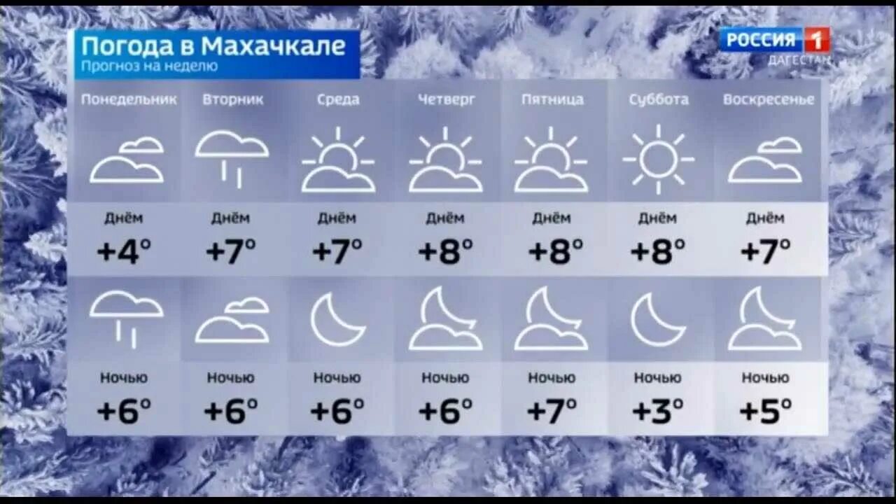 Прогноз погоды на декабрь 2023. Погода в Махачкале на неделю. Погода в Махачкале на сегодня. Климат Дагестана по месяцам. Погода в Дагестане на неделю.