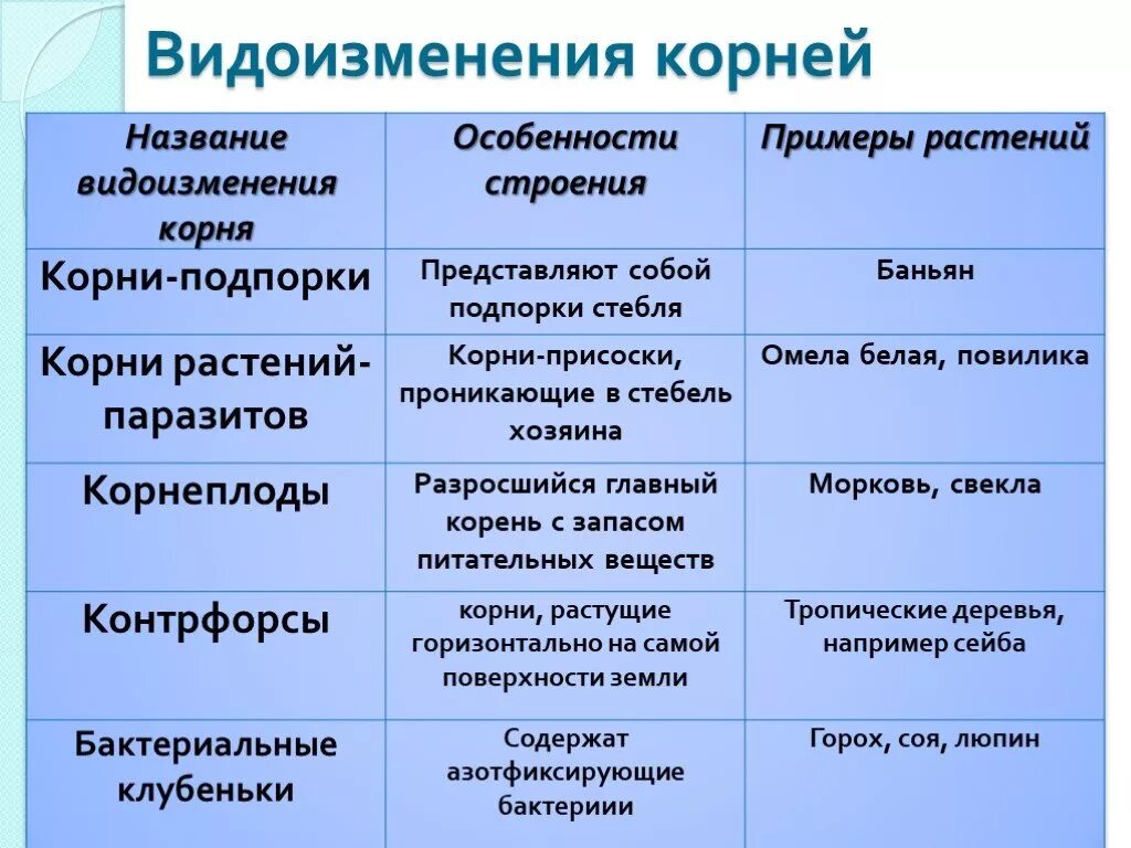 Корневые видоизменения