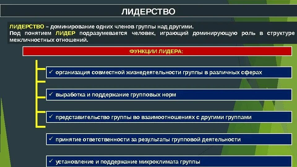 Лидер группы характеристика. Функции лидерства. Функции лидерства в психологии. Лидерство в здравоохранении. Функции лидерства в группе.