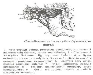 Алатыр қаласының жезөкшелері