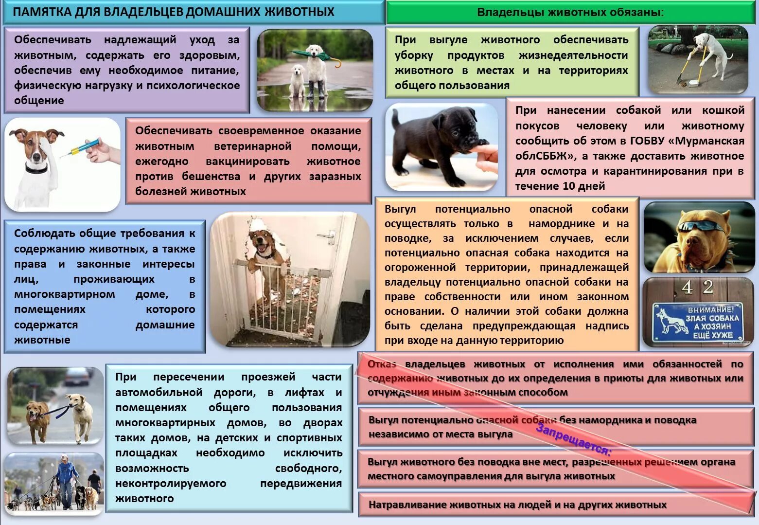 Выгул без поводка статья. Памятка по содержанию домашних животных. Памятка для владельцев животных. Памятка по обращению с домашними животными. Памятки для хозяев собак и кошек.