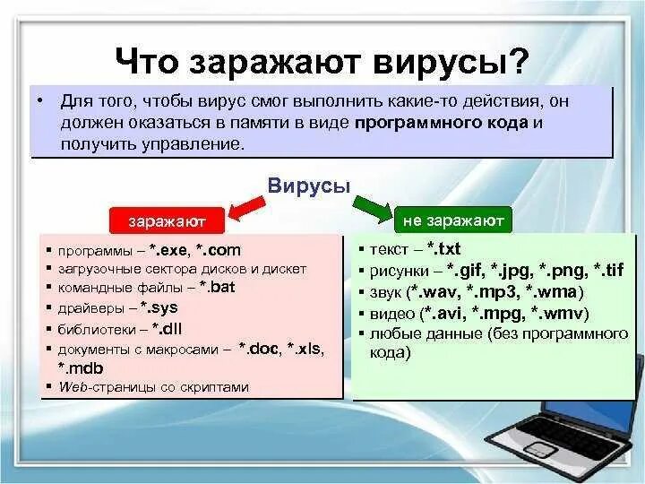 Есть ли файл. Что могут заразить вирусы. Что могут заразить компьютерные вирусы. Какие файлы могут заражены вирусом.