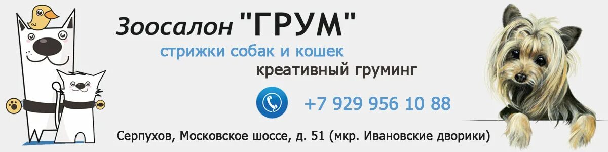 Груминг серпухов. Грум зоосалон. Целевая аудитория груминг салона. Стрижка собак и кошек.