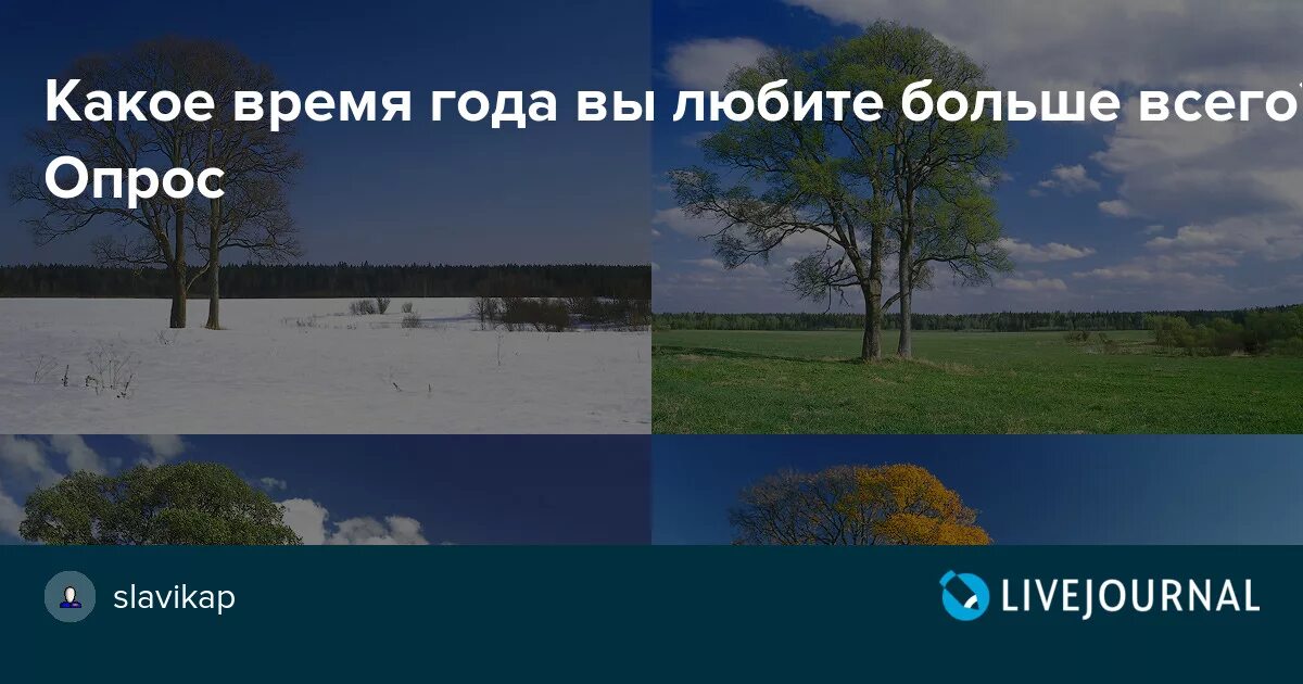 Какое время года вы любите. Какое время года Нравится больше. Какое время года вам больше. Опрос про времена года.