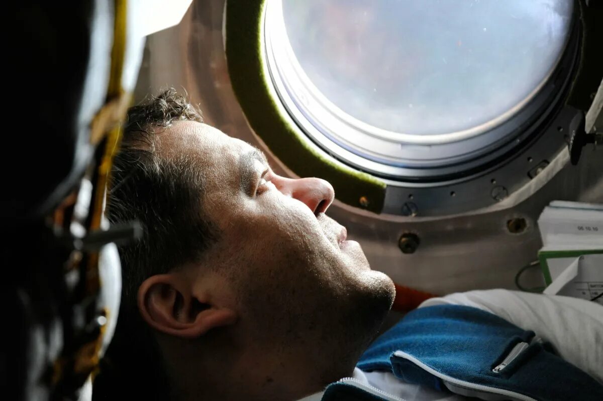 Для чего люди летают в космос. Скрипочка космонавт Невинномысск.