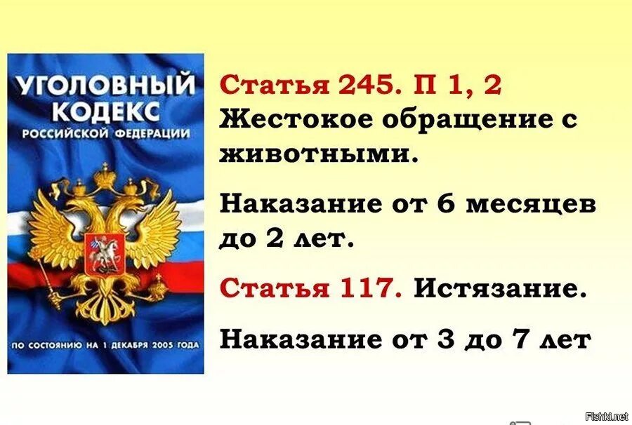 245 Статья УК РФ. Жестокое обращение с животными статья. Статья 245 уголовного кодекса. 245 УК РФ жестокое обращение с животными.