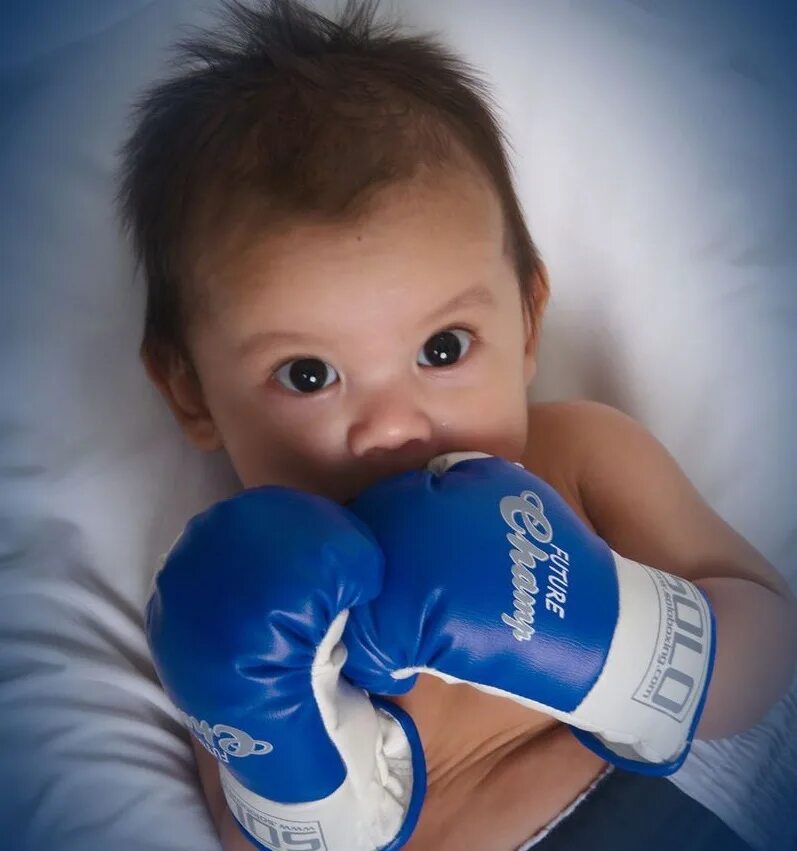 Как называется бокс для новорожденных. Малыш в боксерских перчатках. Детский бокс. Боксерские перчатки для новорожденных. Мальчик в боксерских перчатках.