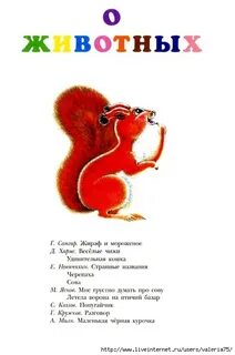 Сапгир кошка