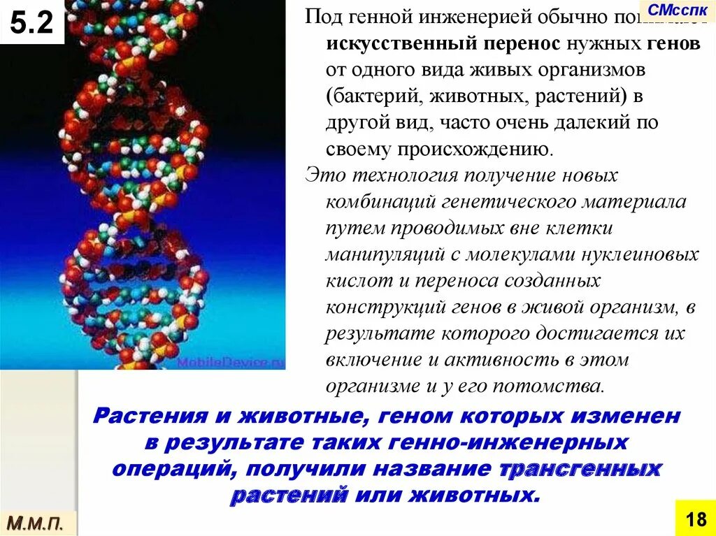 Какова цель генной инженерии. Современная генная инженерия. Метод генной инженерии в биологии. Задачи генной инженерии растений. Генная инженерия в селекции.
