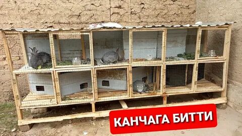 Катак
